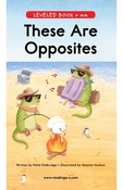 These Are Opposites