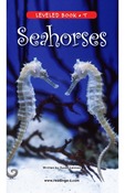 Seahorses