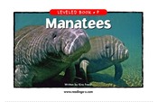 Manatees
