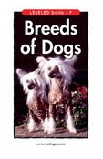 Breeds of Dogs