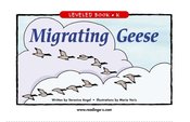 Migrating Geese