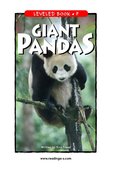 Giant Pandas