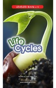 Life Cycles