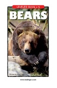 Bears