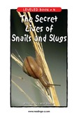 The Secret Lives of Snails and Slugs