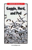 Gaggle, Herd, and Pod