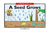 A Seed Grows