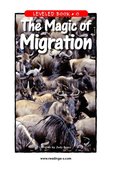 The Magic of Migration