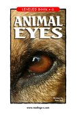 Animal Eyes