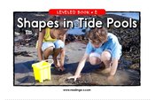 Shapes in Tide Pools
