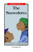 The Snowstorm