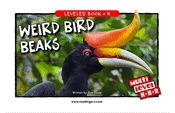 Weird Bird Beaks