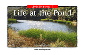 Life at the Pond