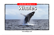 Whales