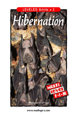 Hibernation