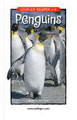 Penguins