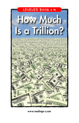 How Much Is a Trillion?
