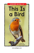 This Is a Bird