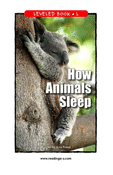 How Animals Sleep