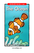 The Ocean