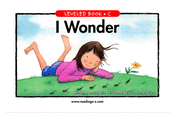 I Wonder