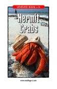 Hermit Crabs