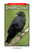 Smart Crows