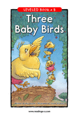 Three Baby Birds