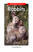 Rabbits