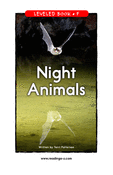 Night Animals