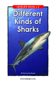 Different Kinds of Sharks