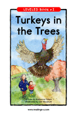 Turkeys in the Trees
