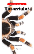 Tarantula!