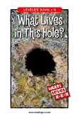 What Lives in This Hole?