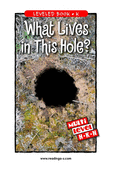 What Lives in This Hole?