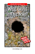 What Lives in This Hole?