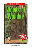 Woods of Wonder