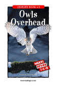 Owls Overhead