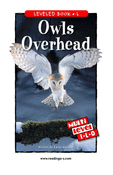 Owls Overhead