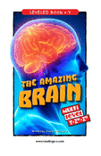 The Amazing Brain