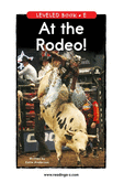 At the Rodeo