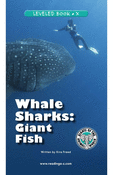 Whale Sharks: Giant Fish