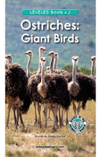 Ostriches: Giant Birds