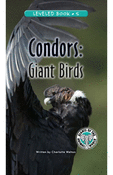 Condors: Giant Birds