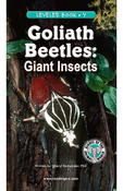 Goliath Beetles: Giant Insects