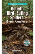 Goliath Bird-Eating Spiders: Giant Arachnids