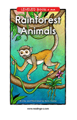 Rainforest Animals