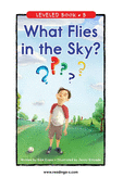 What Flies in the Sky?