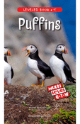 Puffins