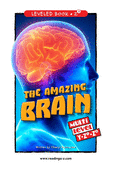 The Amazing Brain